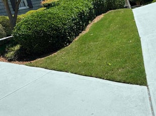 Ruth S.'s lawn care service result