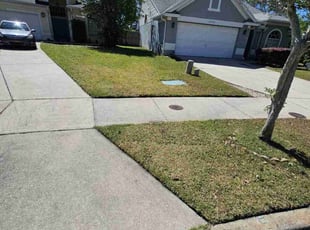 Scott B.'s turf care service result
