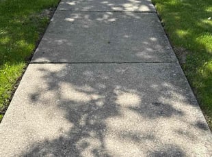 Benjamin C.'s lawn service service result