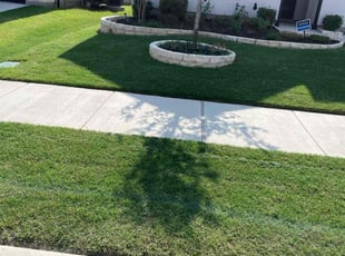 Kadedra F.'s lawn care service result