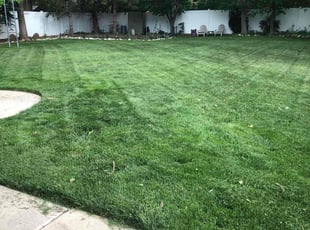 Ryan O.'s turf care service result