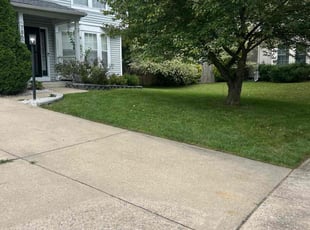 Kyiaco W.'s turf care service result
