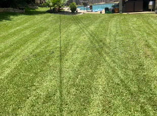 Mark F.'s lawn care service result