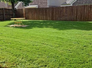Mikol T.'s lawn care service result