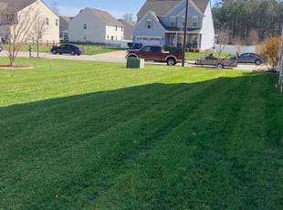 Diquesha J.'s lawn maintenance service result