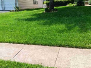 Maria B.'s lawn care services service result