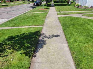 Andy W.'s lawn service service result