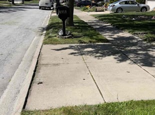 Tahje J.'s lawn care service result