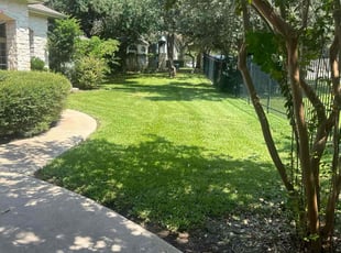 kyle c.'s lawn maintenance service result
