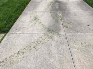Keegan C.'s lawn care service result