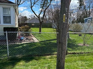 Kevin G.'s lawn care services service result