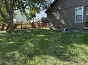 Kenneth P.'s grass maintenance service result