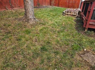 Deborah F.'s Leaf Removal service result