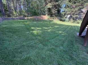 Kenasia A.'s lawn service service result