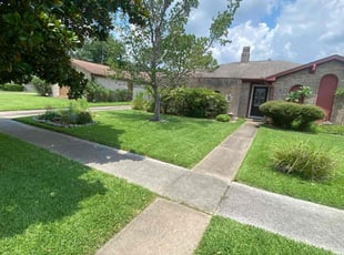 Daniel H.'s lawn care service result