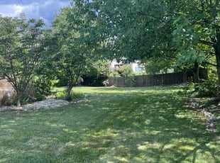 Sara S.'s lawn care services service result