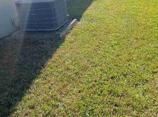 Michael D.'s turf maintenance service result