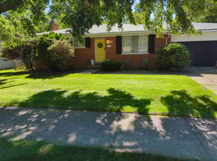 Dammernic M.'s grass cutting service result