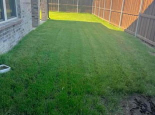 Martha R.'s turf care service result