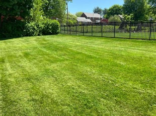 Karmen T.'s turf maintenance service result