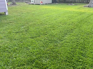 Scott W.'s lawn service service result