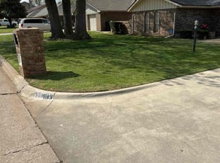 Mike K.'s grass cutting service result