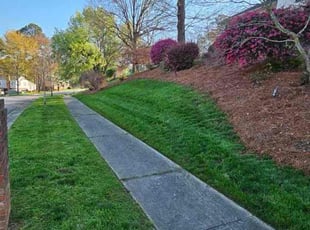 Kat S.'s grass maintenance service result