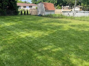 Terrill M.'s lawn care service result