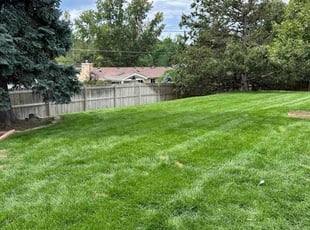 Richard N.'s lawn service service result