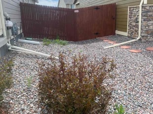 Yolanda R.'s Bush Trimming service result