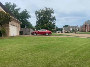 Jim S.'s grass maintenance service result