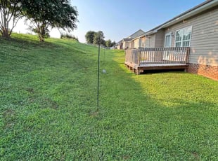 Kimberly S.'s grass cutting service result