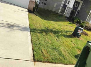 Yusef I.'s turf care service result