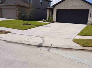 Regina S.'s turf care service result