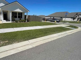 Shalithya S.'s grass maintenance service result