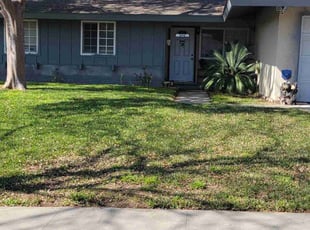 Christopher P.'s lawn maintenance service result