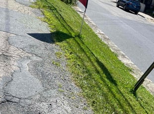 Tasha N.'s Long Grass Cleanup service result