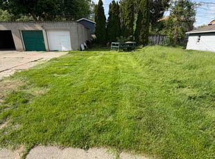 Dante B.'s lawn care service result