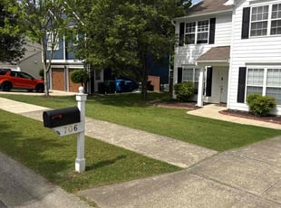 Patrick L.'s grass maintenance service result