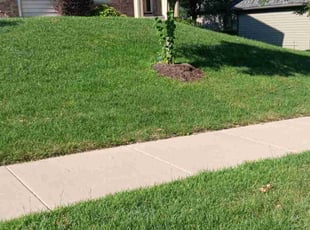 Kevin Q.'s lawn maintenance service result