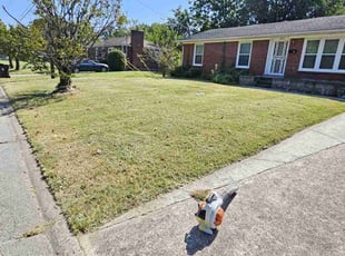 Natalie T.'s lawn care service result