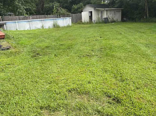 Brian L.'s turf care service result