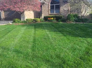Janet L.'s turf care service result
