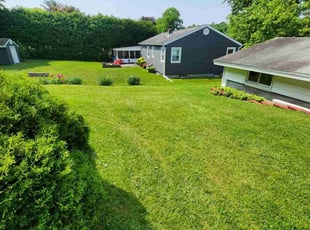 Stephanie P.'s turf care service result