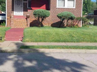 Jason D.'s turf care service result