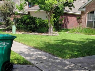 Kathy H.'s yard service service result