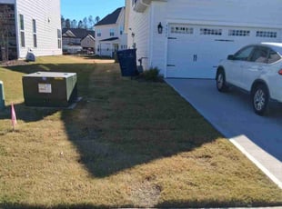 Connie K.'s turf care service result