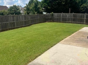 Mary M.'s grass cutting service result