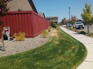 Danielle D.'s turf care service result