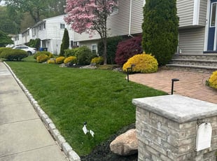 Daniel C.'s grass maintenance service result